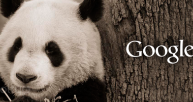 Google, SEO, Google Panda, Trucos SEO, Content Marketing, Contenido de Calidad
